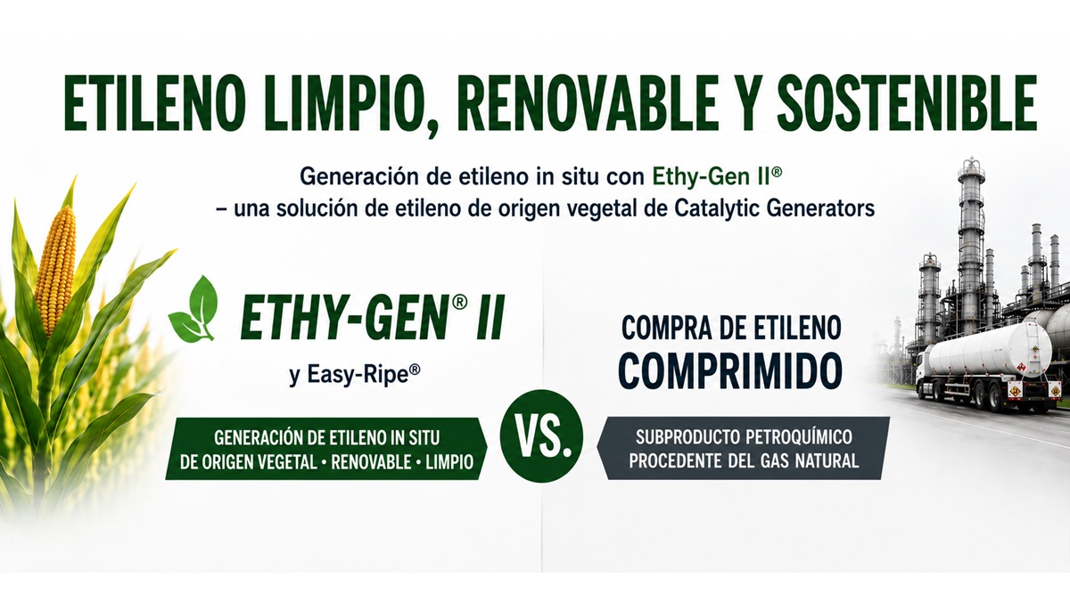 Catalytic Etileno Renovable vs Etileno Petroquímico_ES.jpg